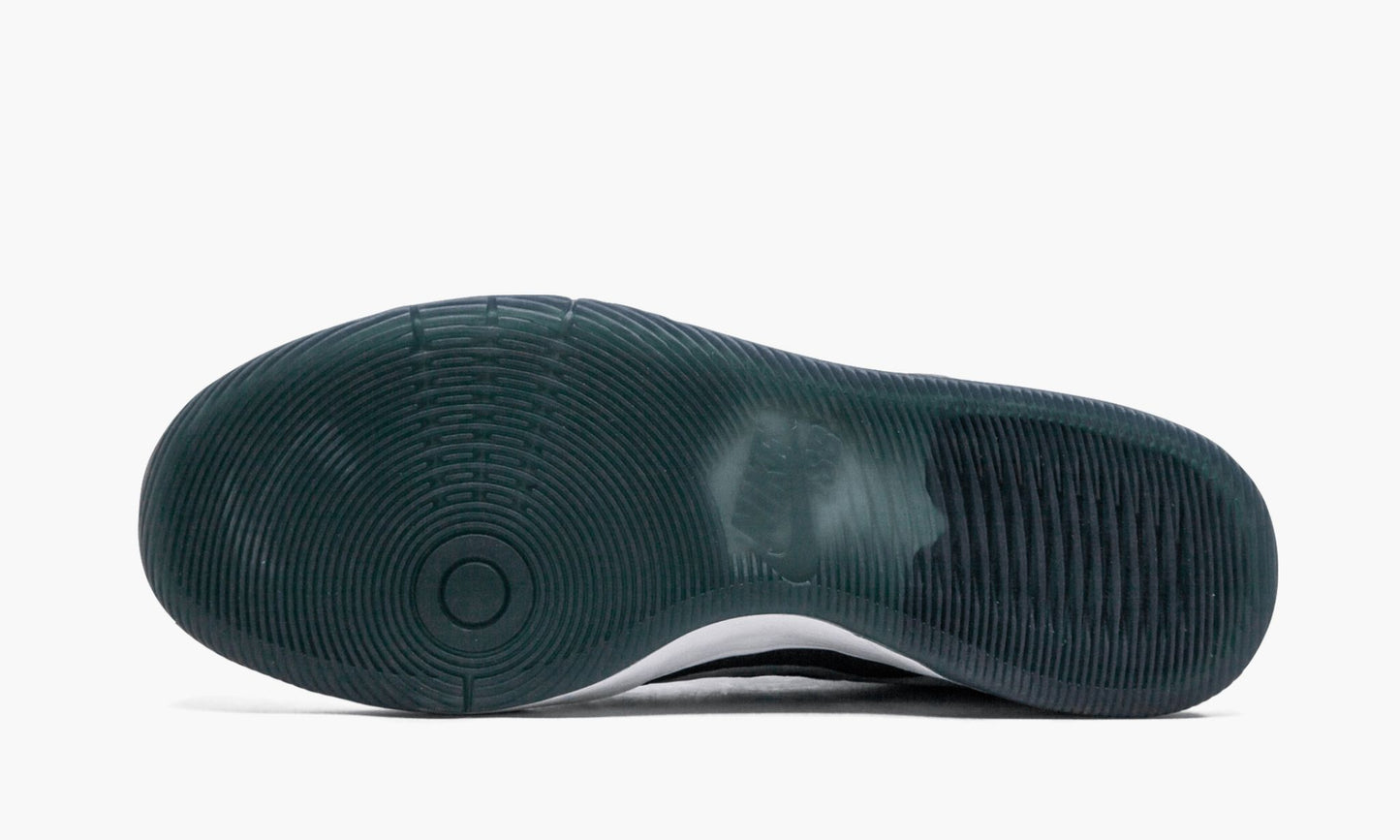 SB Zoom Dunk Low Elite