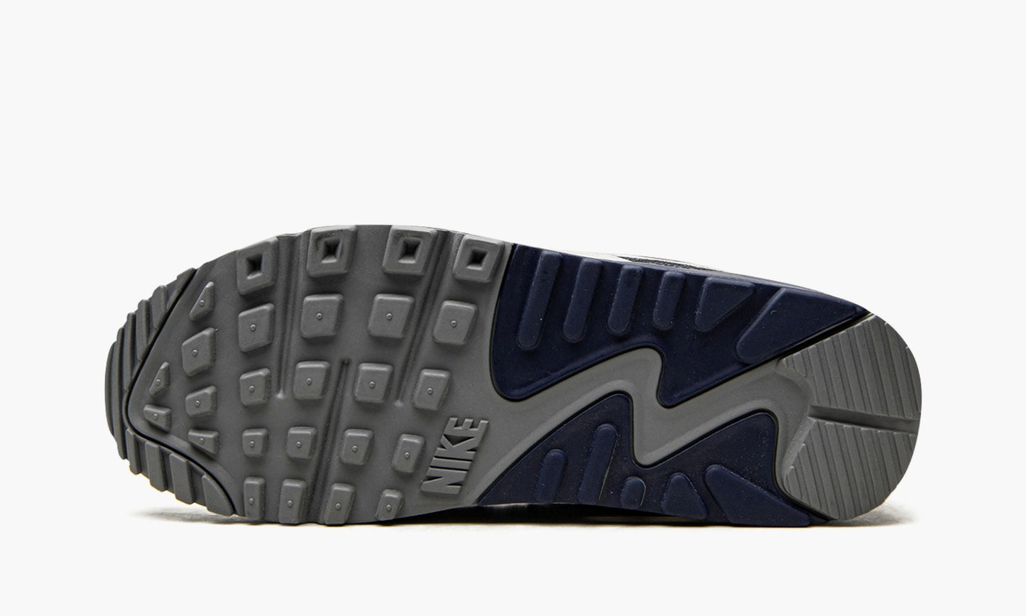 Air Max 90 "Lahar Escape Grey"