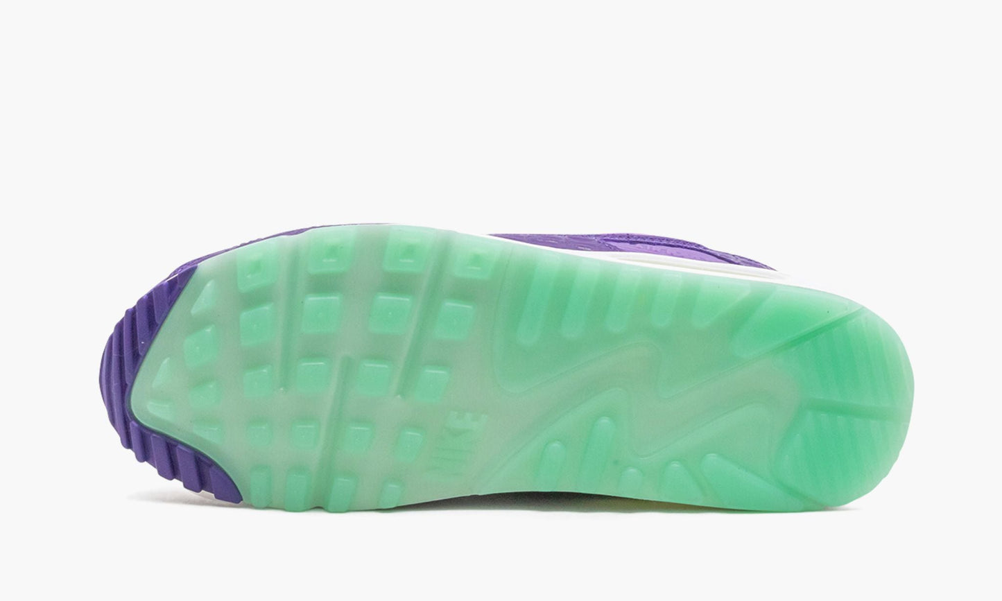 Air Max 90 "Animal Pack - Violet Blend"