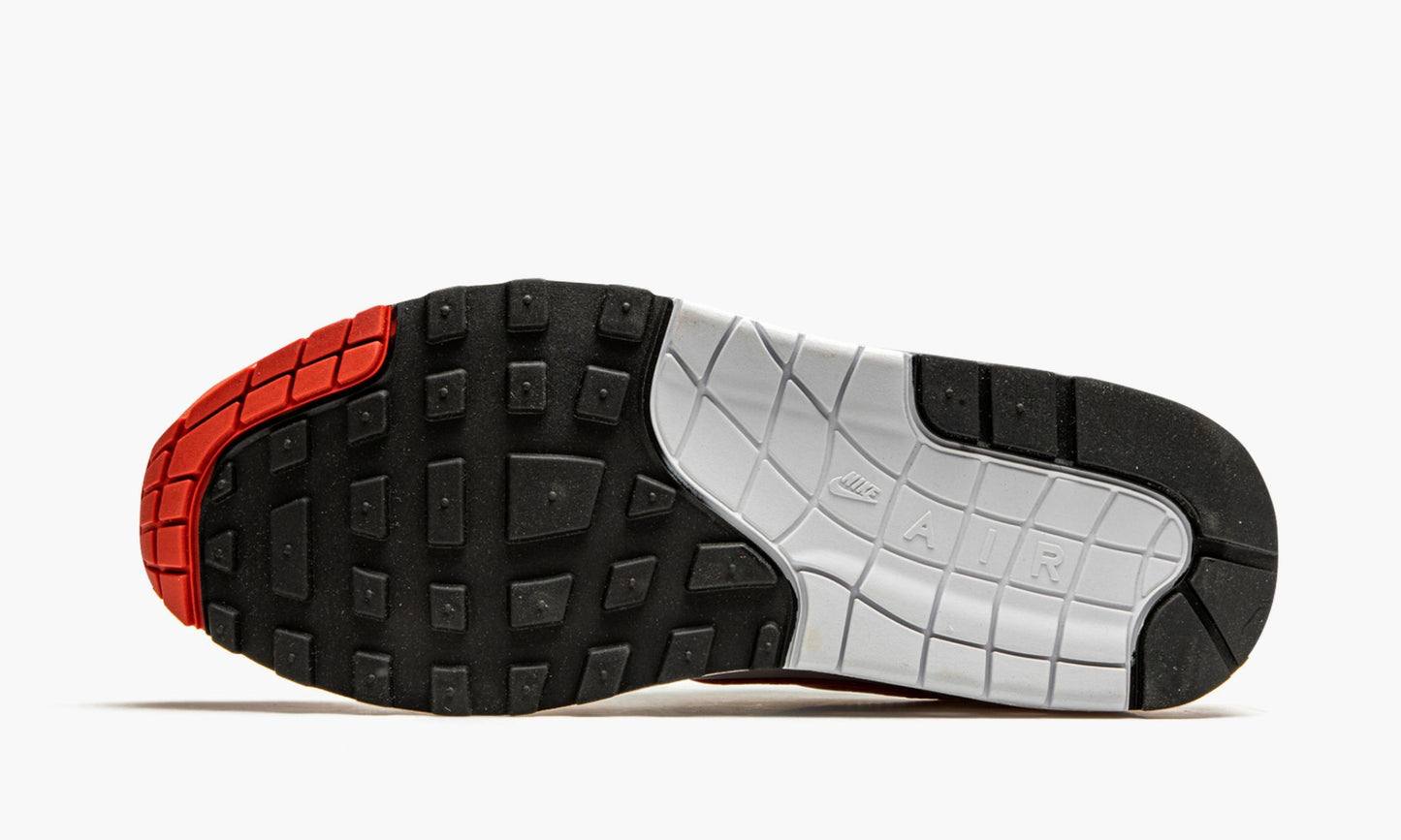 Air Max 1 "Martian Sunrise"