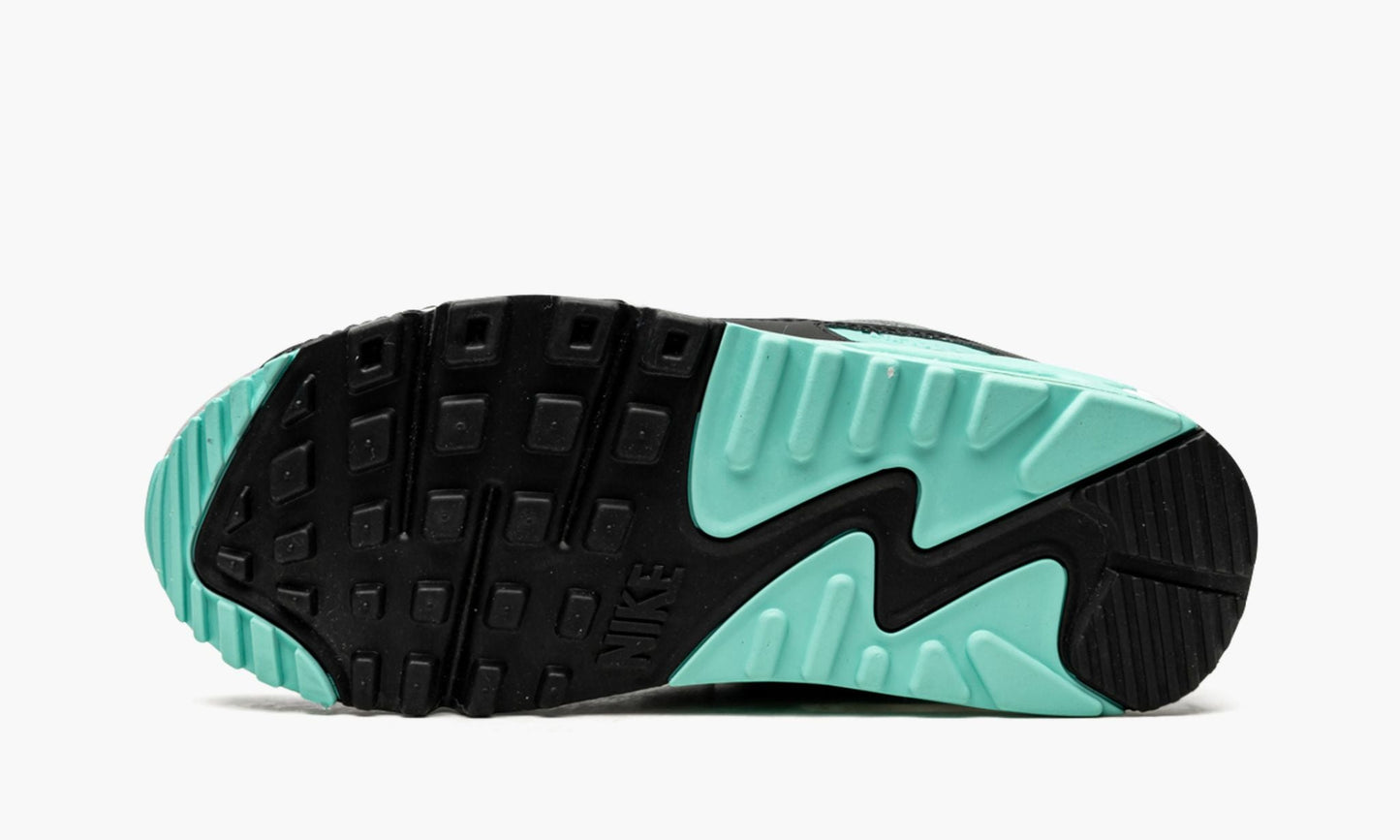 Air Max 90 W "Turquoise"